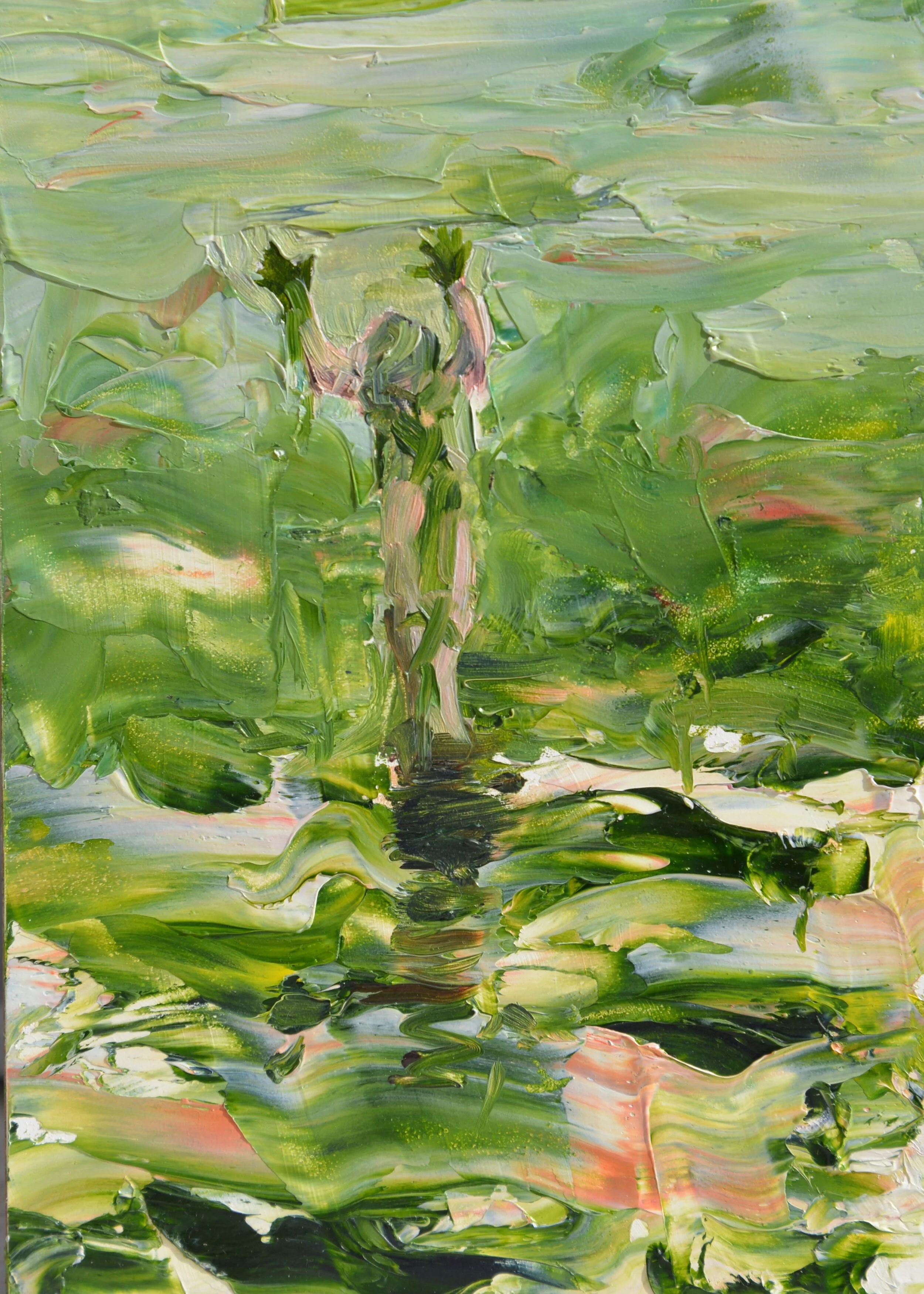 BrennaGeorge_Seaweed4_2019.JPG