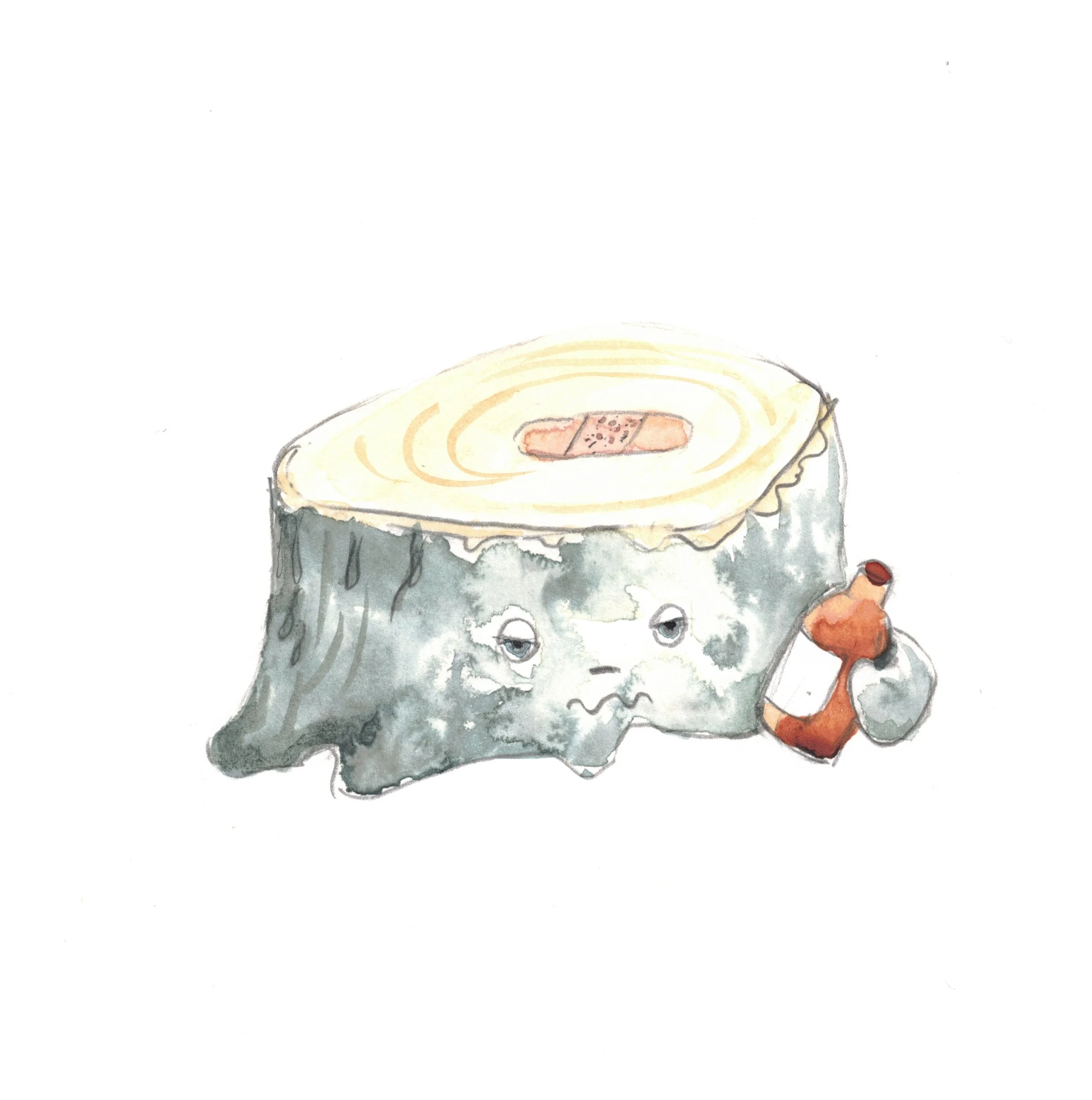 BG_100oc_stump20.jpg
