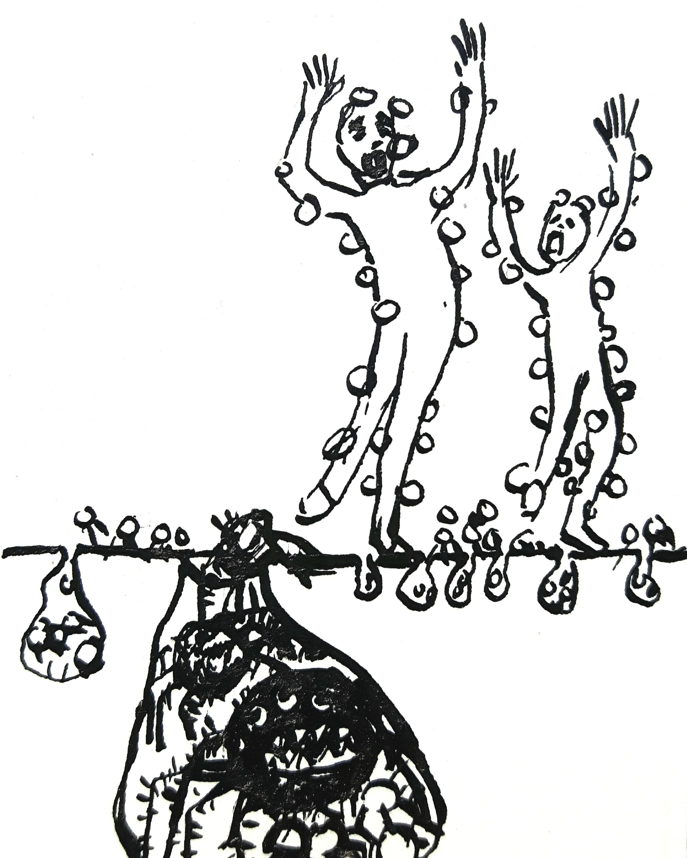Insects