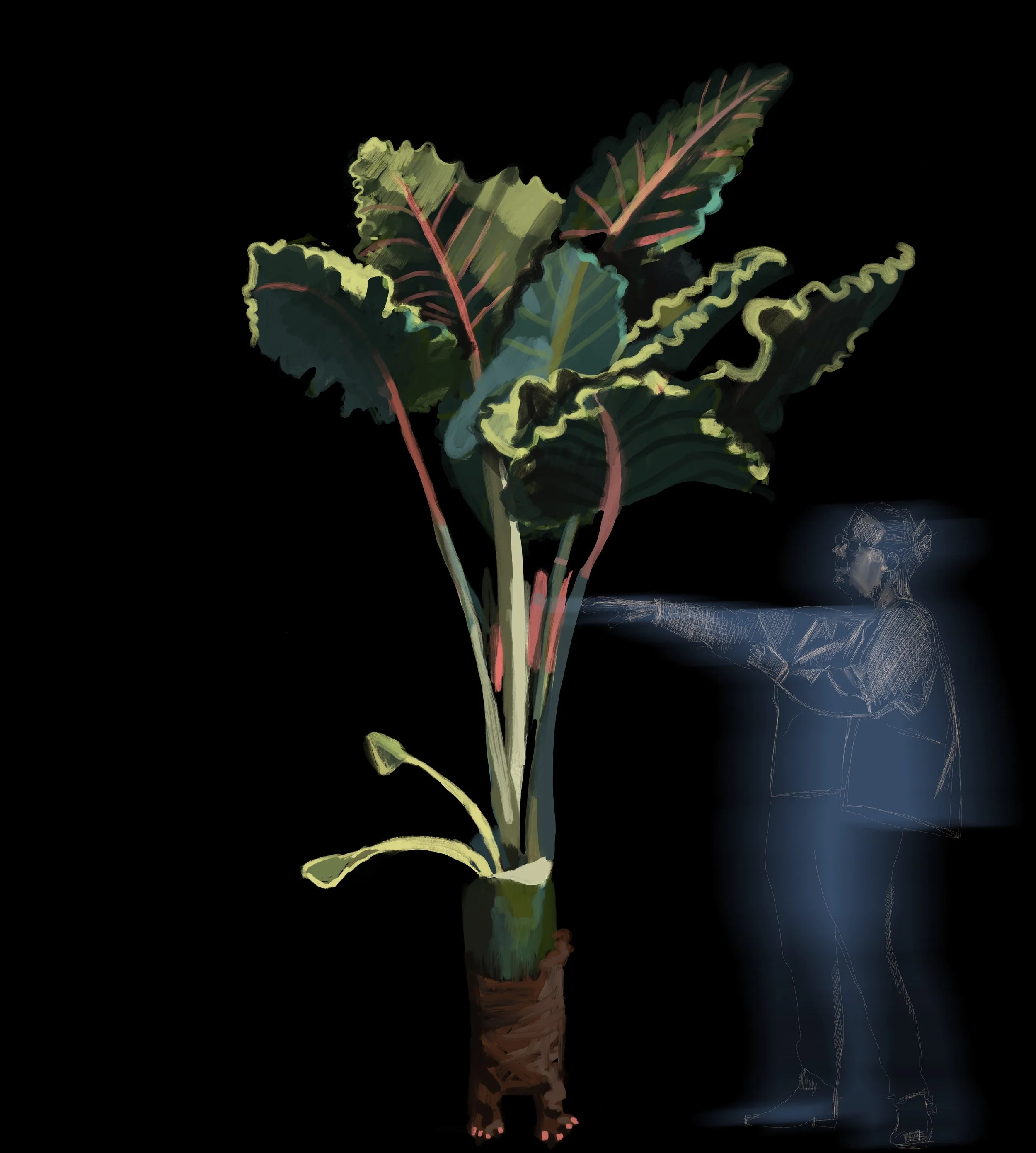 BrennaGeorgeNightZoo1_Plantzoo_digitaldrawing_2024_16x18in.jpg