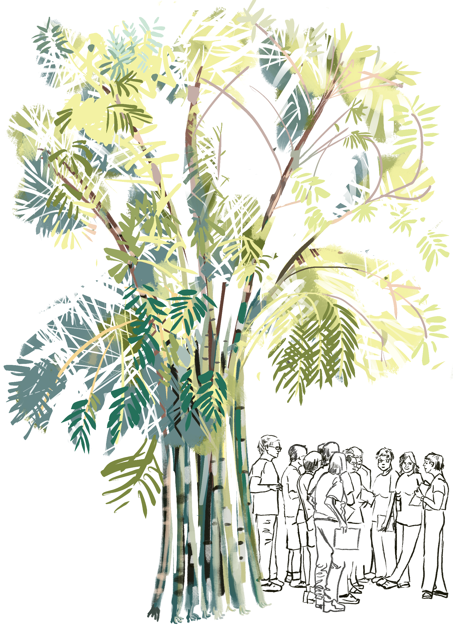 Leafbamboo2023brennaG.png