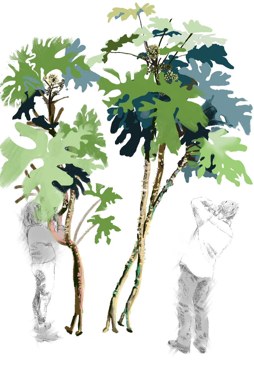 Plant Zoo