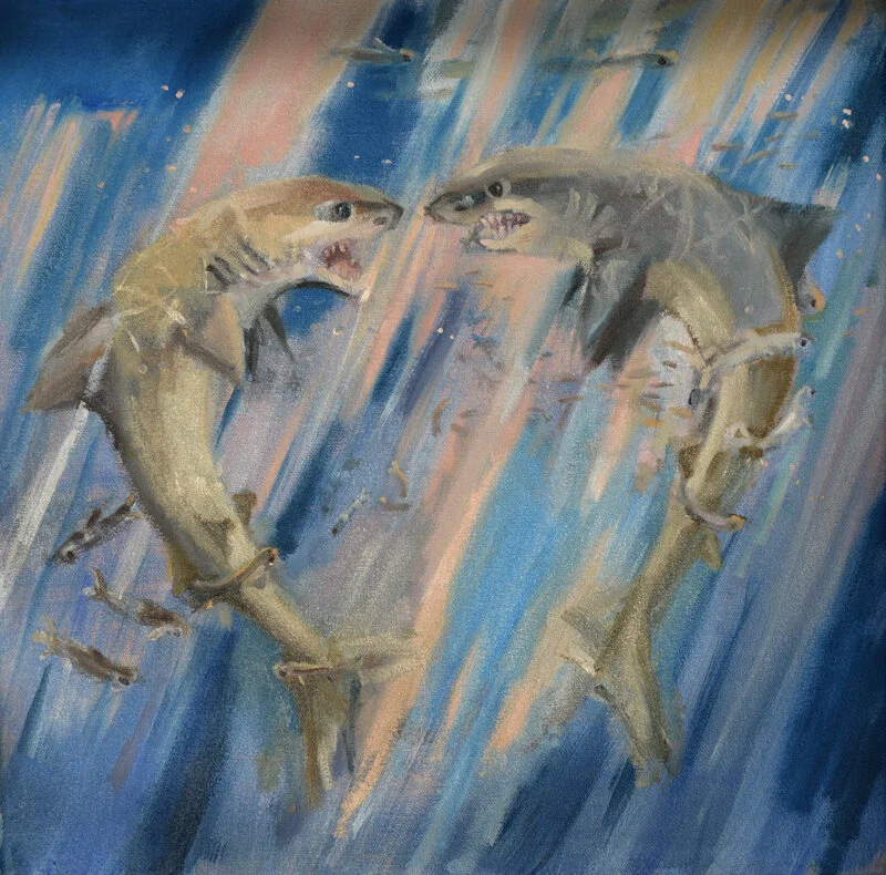 BGSharkValentine2014.jpg