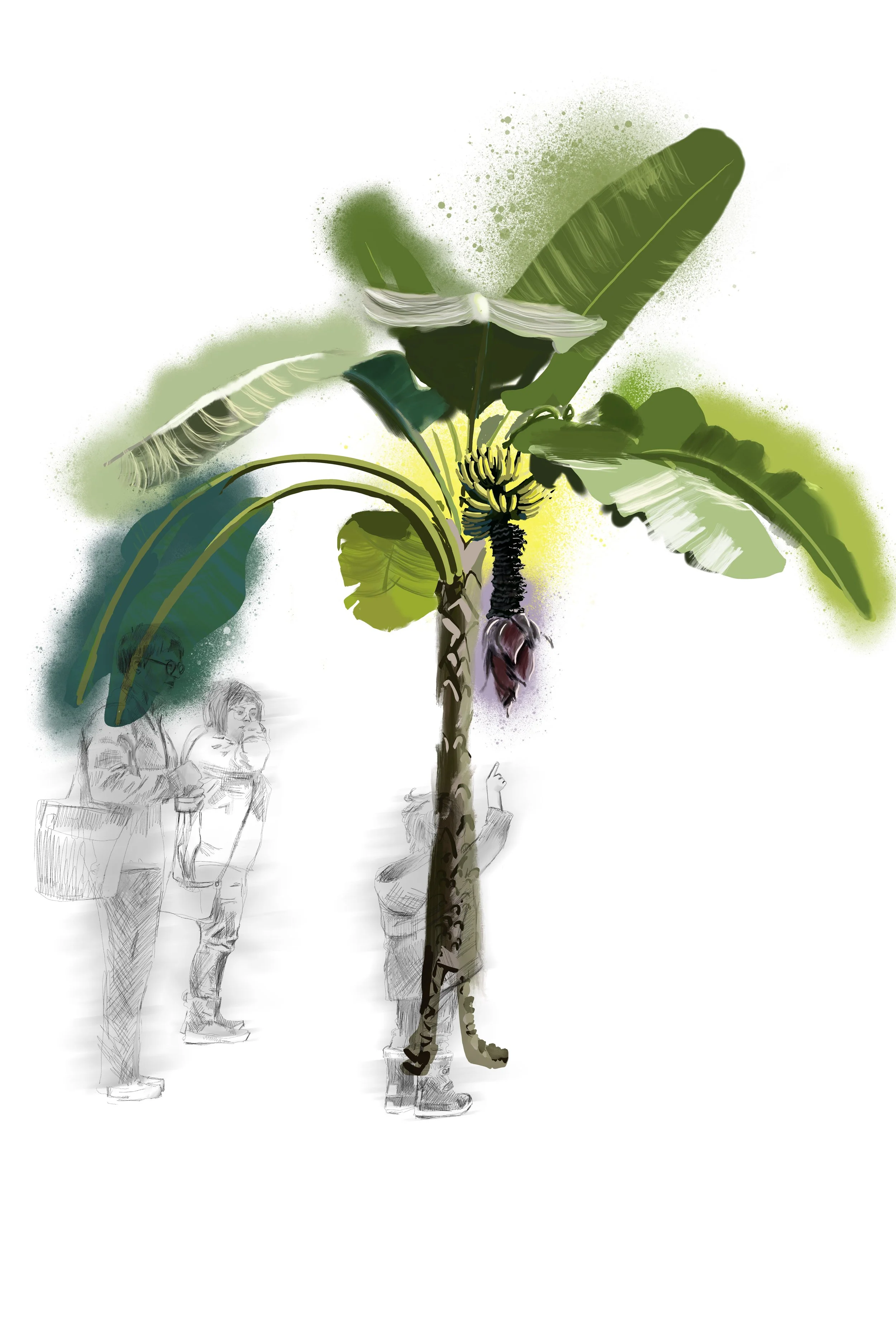 Bananas_And_Boy.jpg