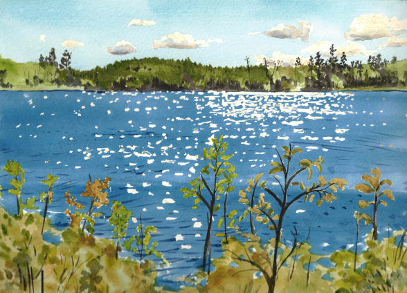 Canoe and Day Trips