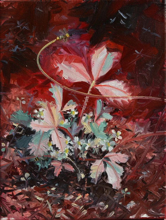 Romantic Botanicals 2016