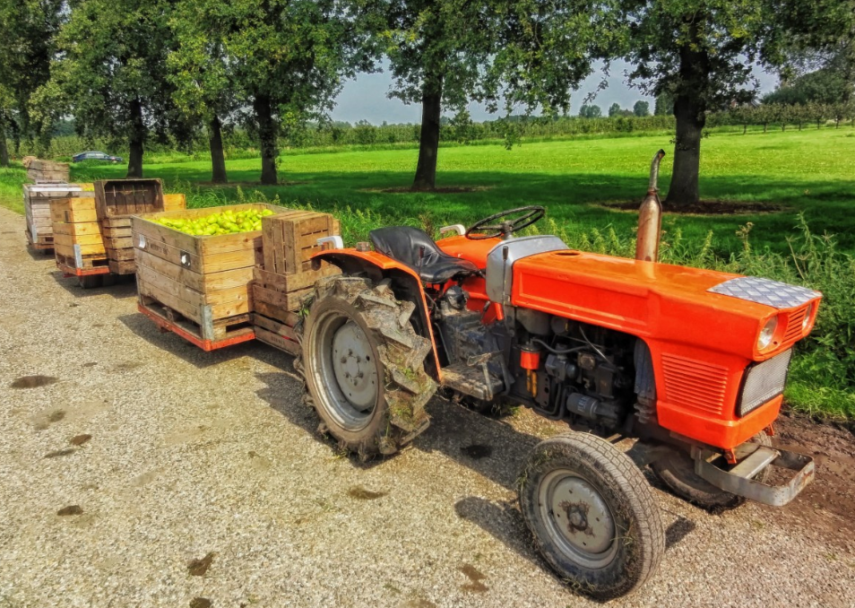 HT Pallets - Real World