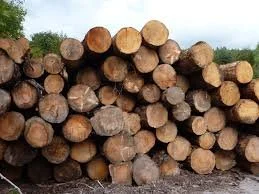 logs selected for pallet manufacturing
