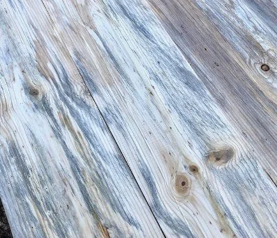 Blue Stain on Wood Pallets in Chattanooga