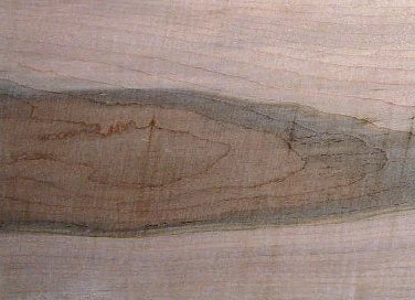 Mineral discoloration on wood pallet in Rome 