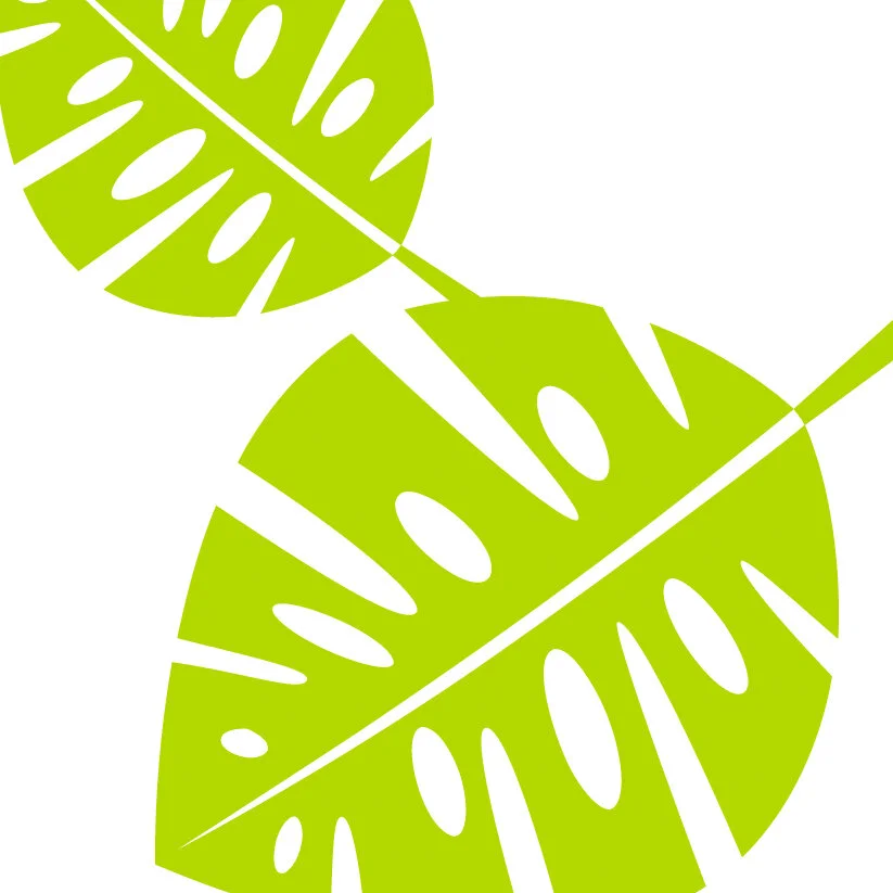 monstera.jpg
