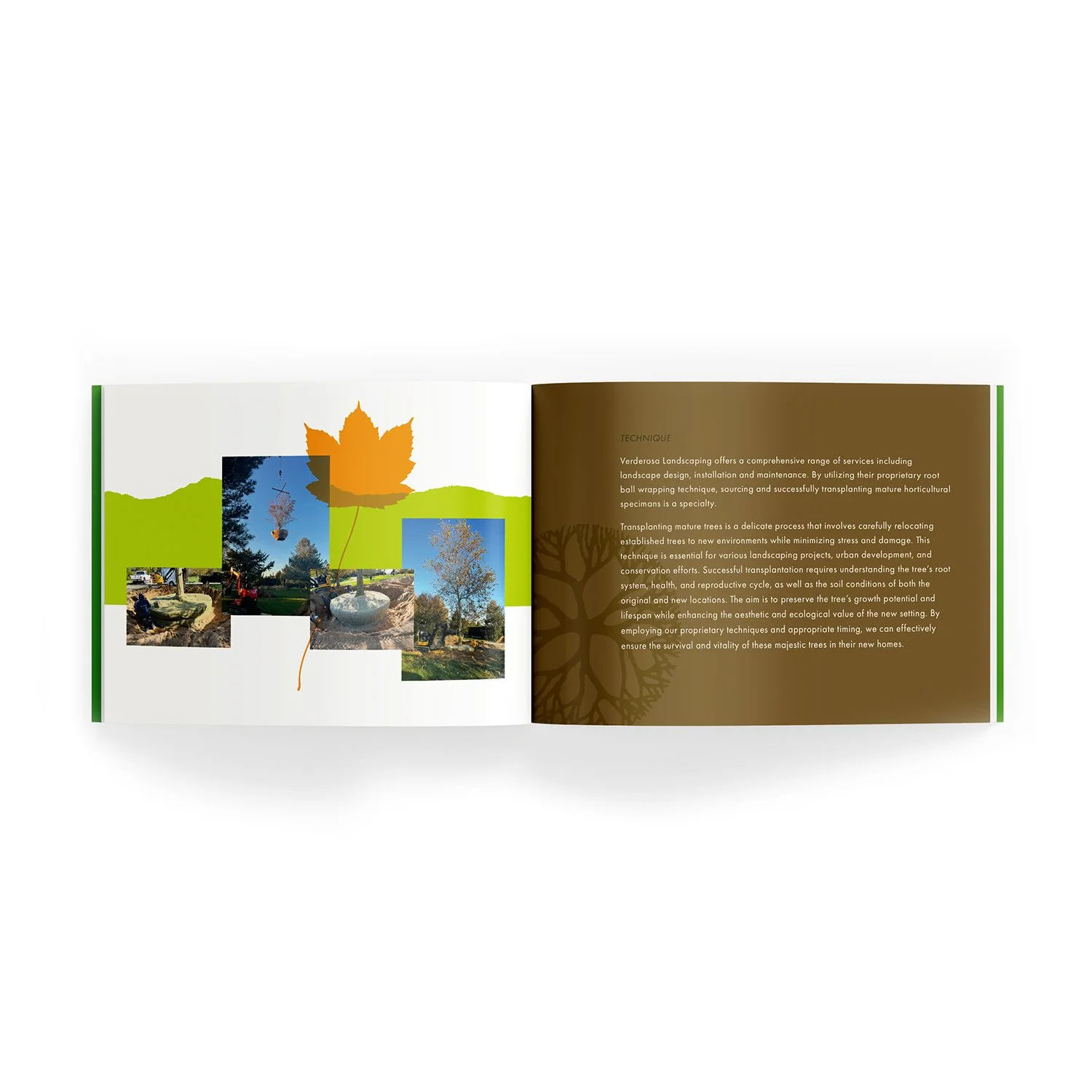 TVL_Brochure_2A.jpg