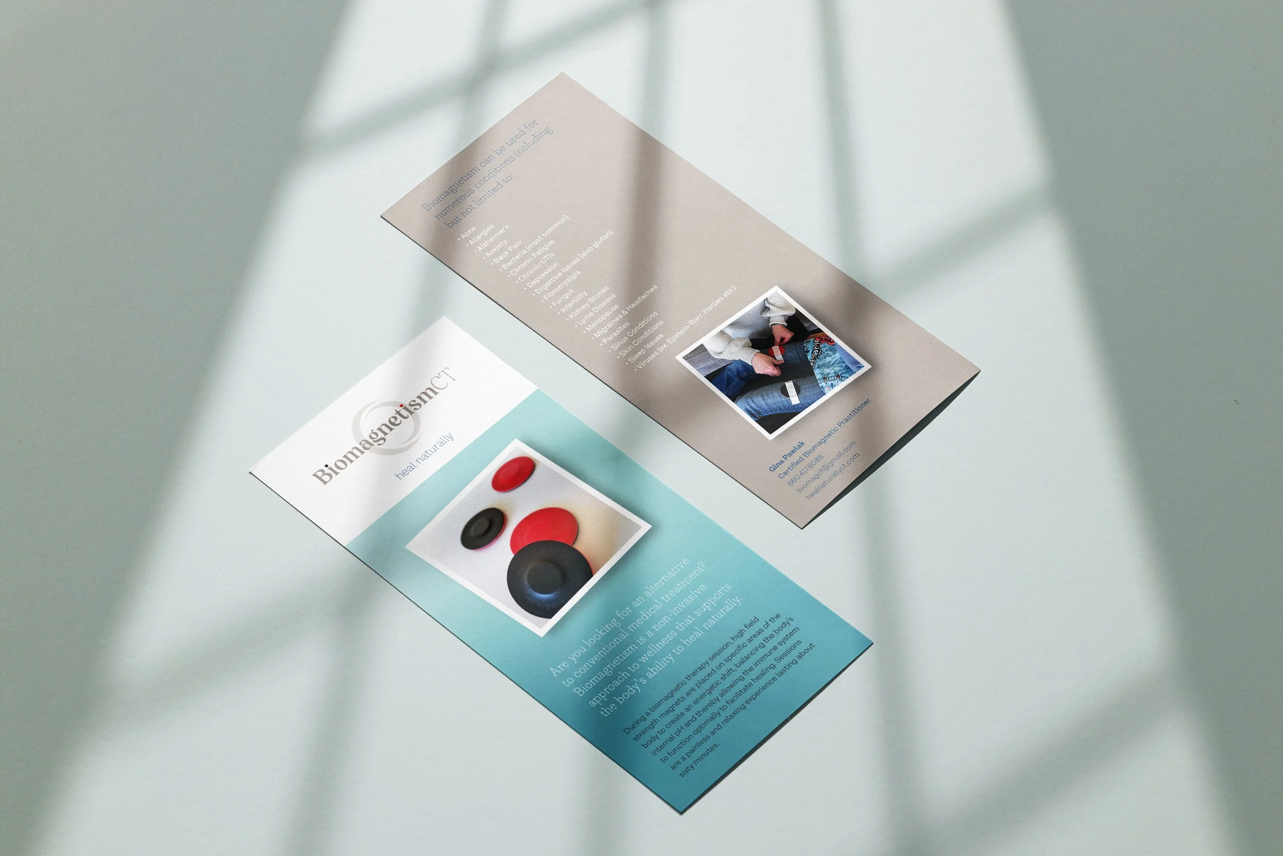 BioMag_flyer.jpg