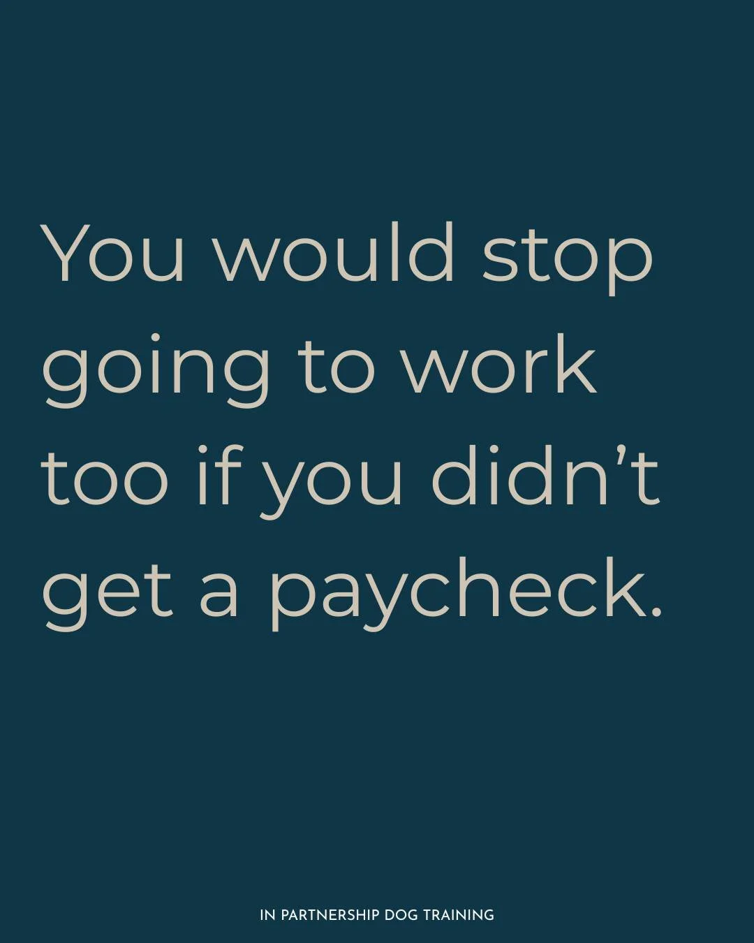 Every behavior has a reason for happening, otherwise it's a waste of energy. 
Give your dog good, positive reasons to do what you ask! 
The better you pay, the better the outcome.
What makes pay better?:
- Quality of snack -Wet, greasy, smelling,