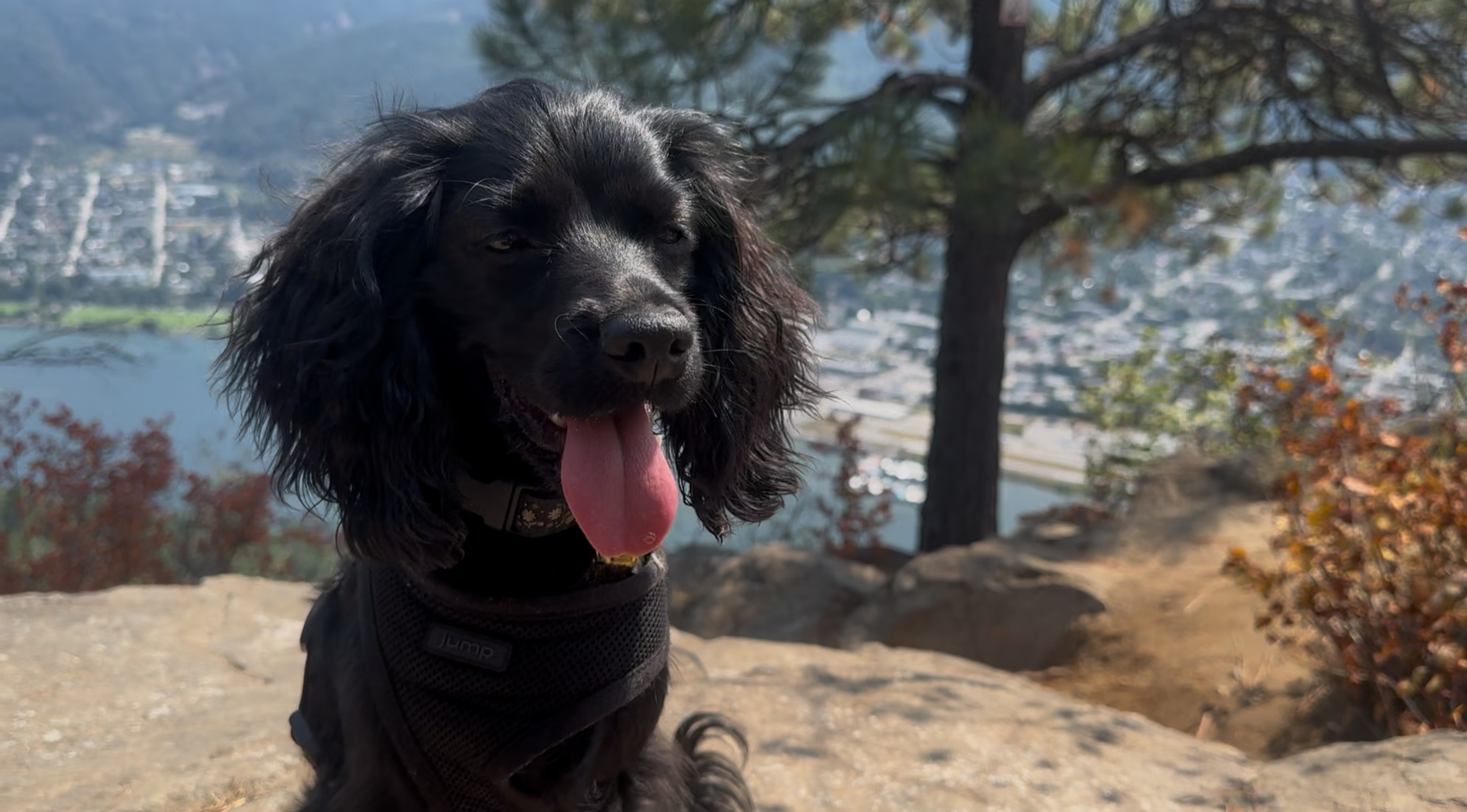 Jackie Made It To The Top!