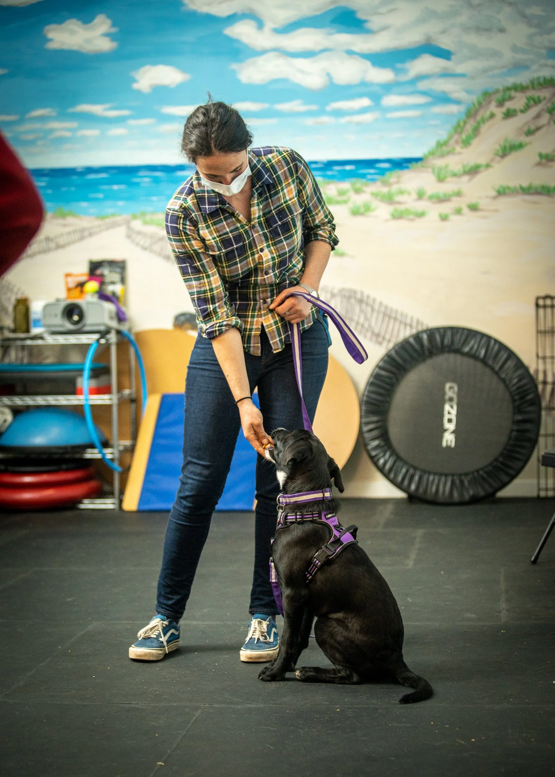 Nelson Dog Training + Puppy Socialization Classes BCSPCA Accredited