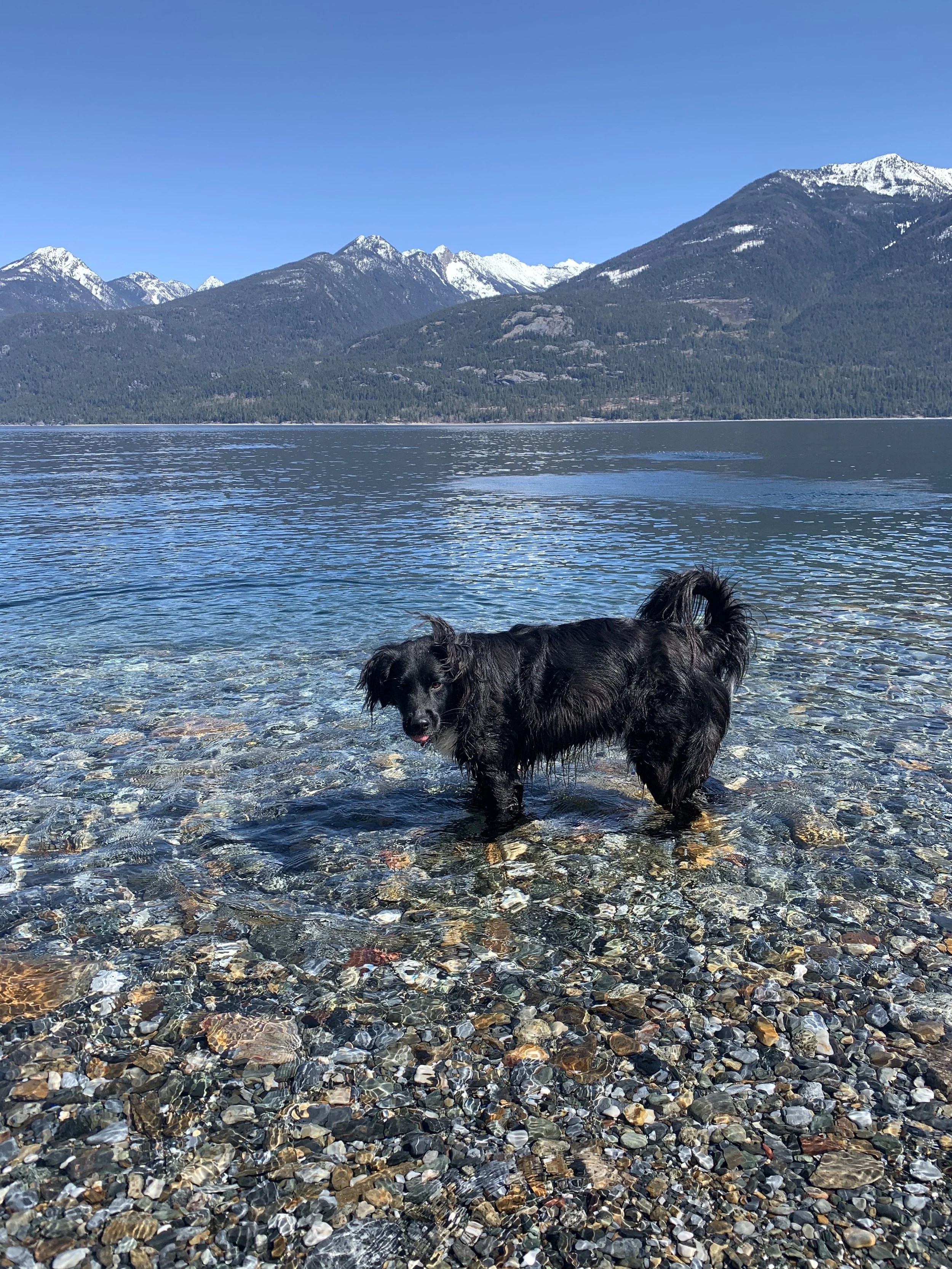 Tula - Beach Day