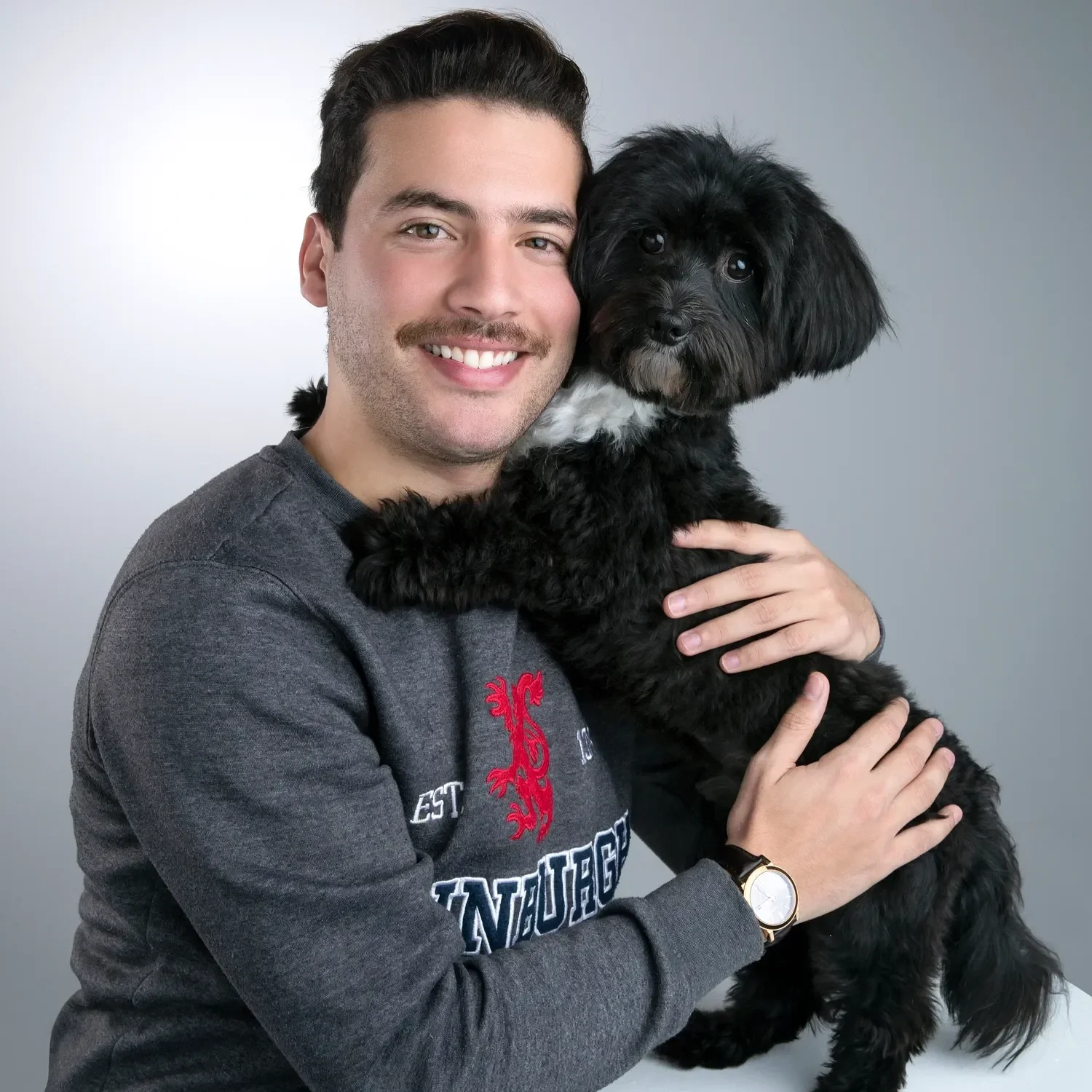 pet photography dubai - 800 photos