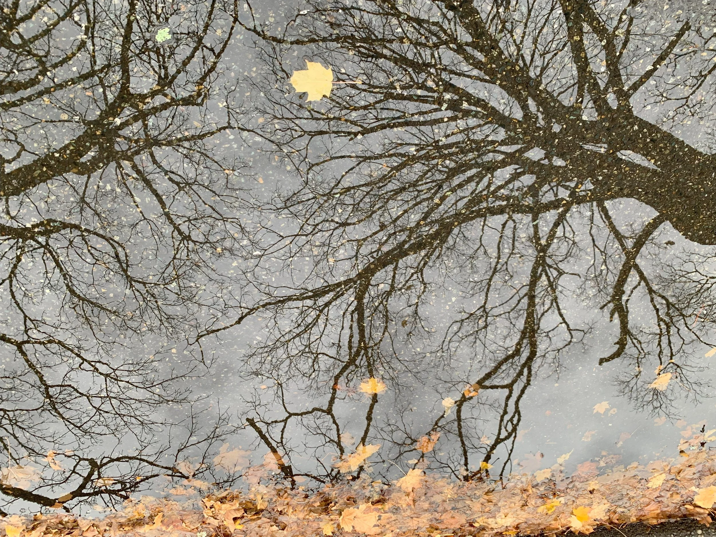 The Practice of Self Forgiveness