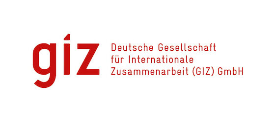 GIZ-logo-alt-80.jpg