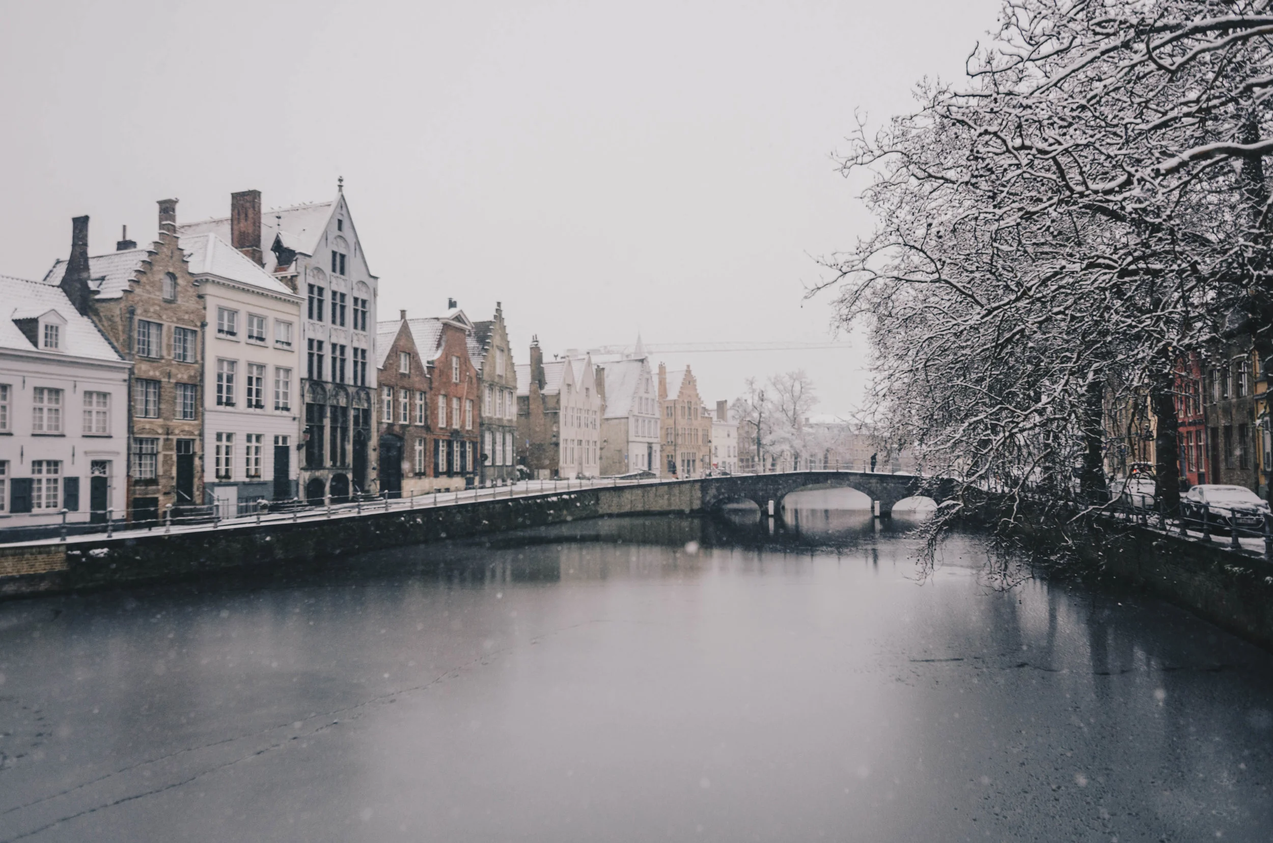 AGWA Updates: December 2019