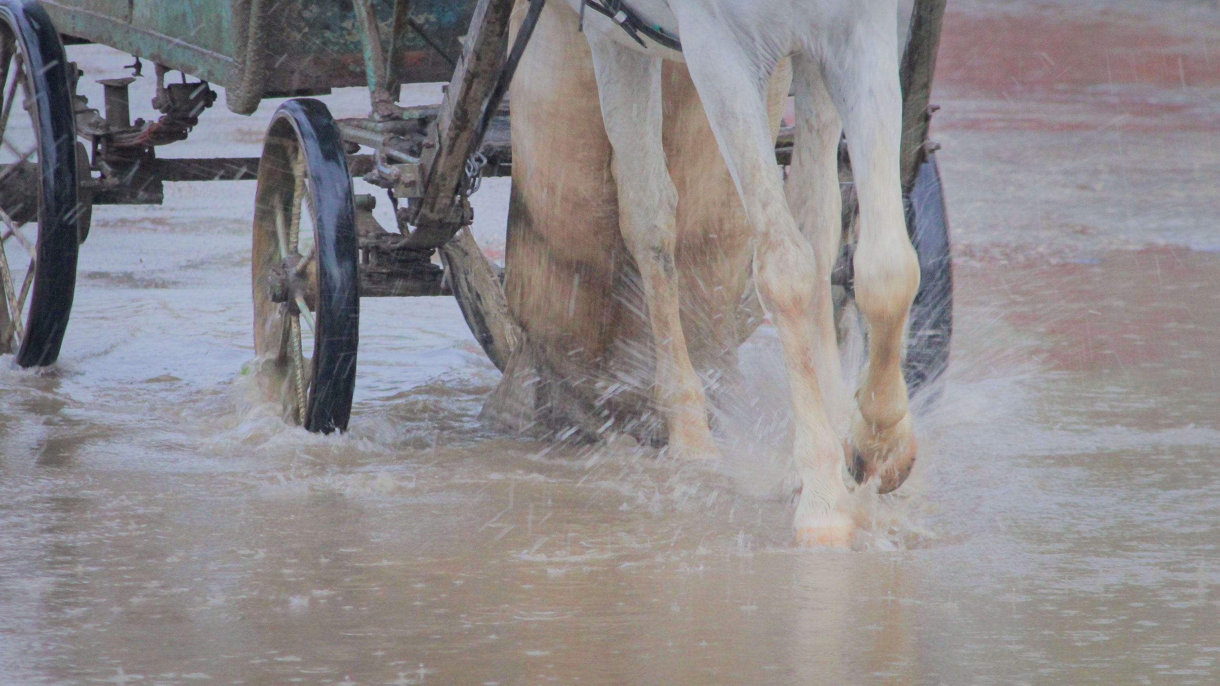 A Rapid Departure from Incrementalism