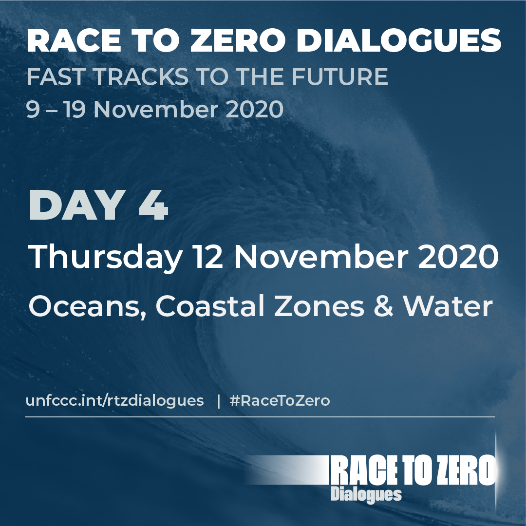 Water Day in the Race to Zero Dialogues