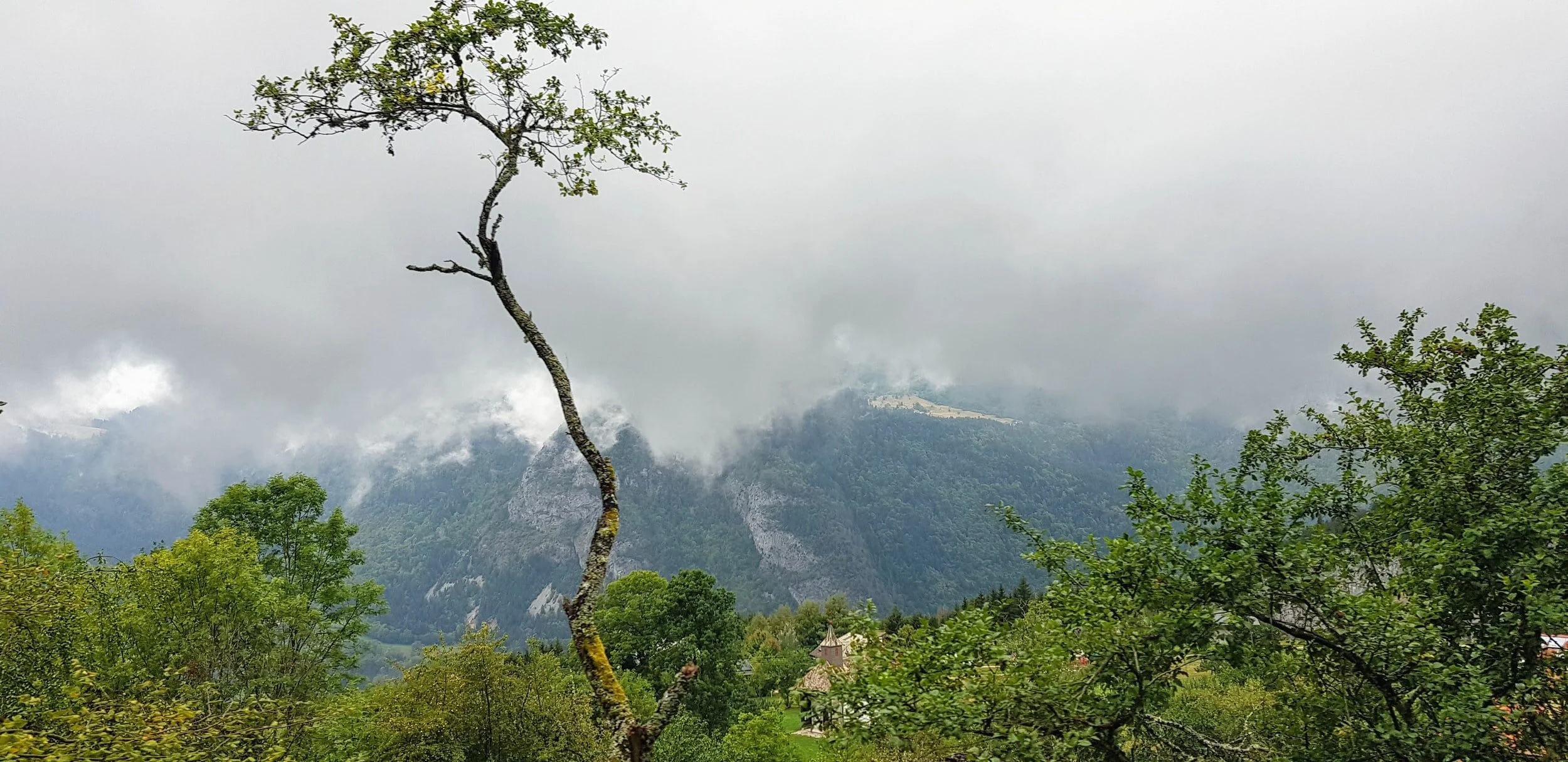 Water and Climate - A Necessary (and Obvious) Pairing