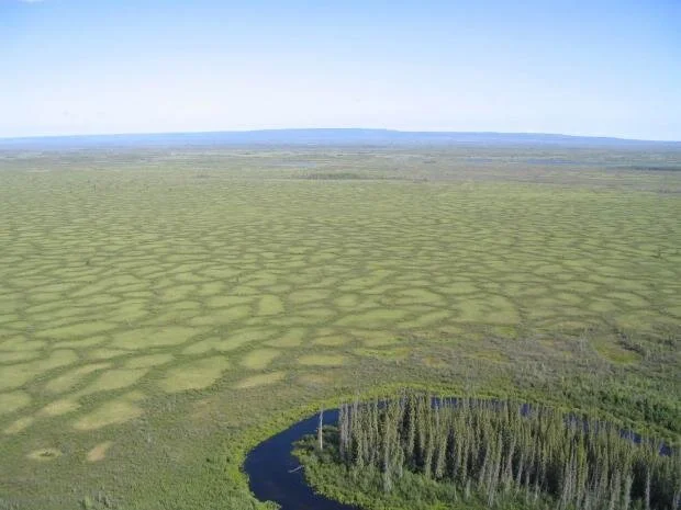 Drops of Change: “Tu Nezi” (Water is Good) 