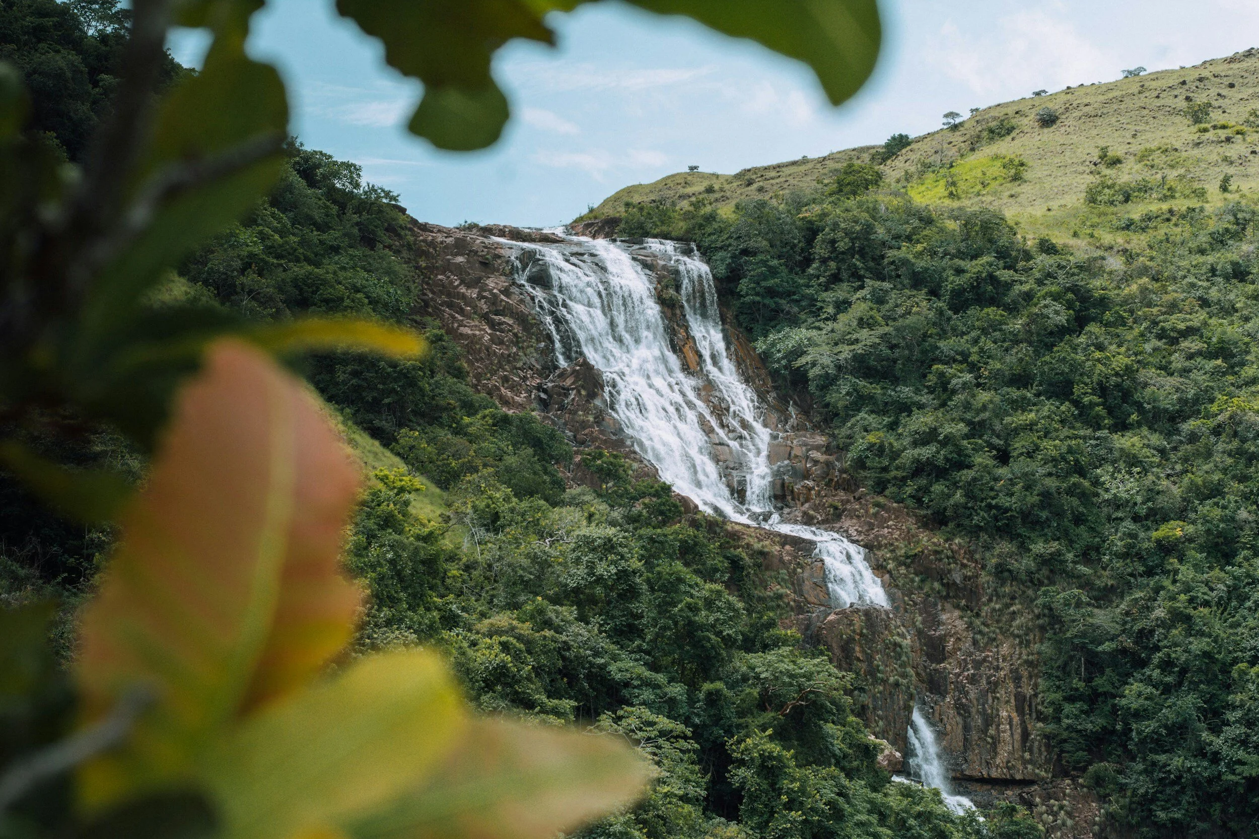 Article - Ministerio de Ambiente de Panamá Panamá cuenta con una nueva herramienta centrada en la protección del recurso hídrico