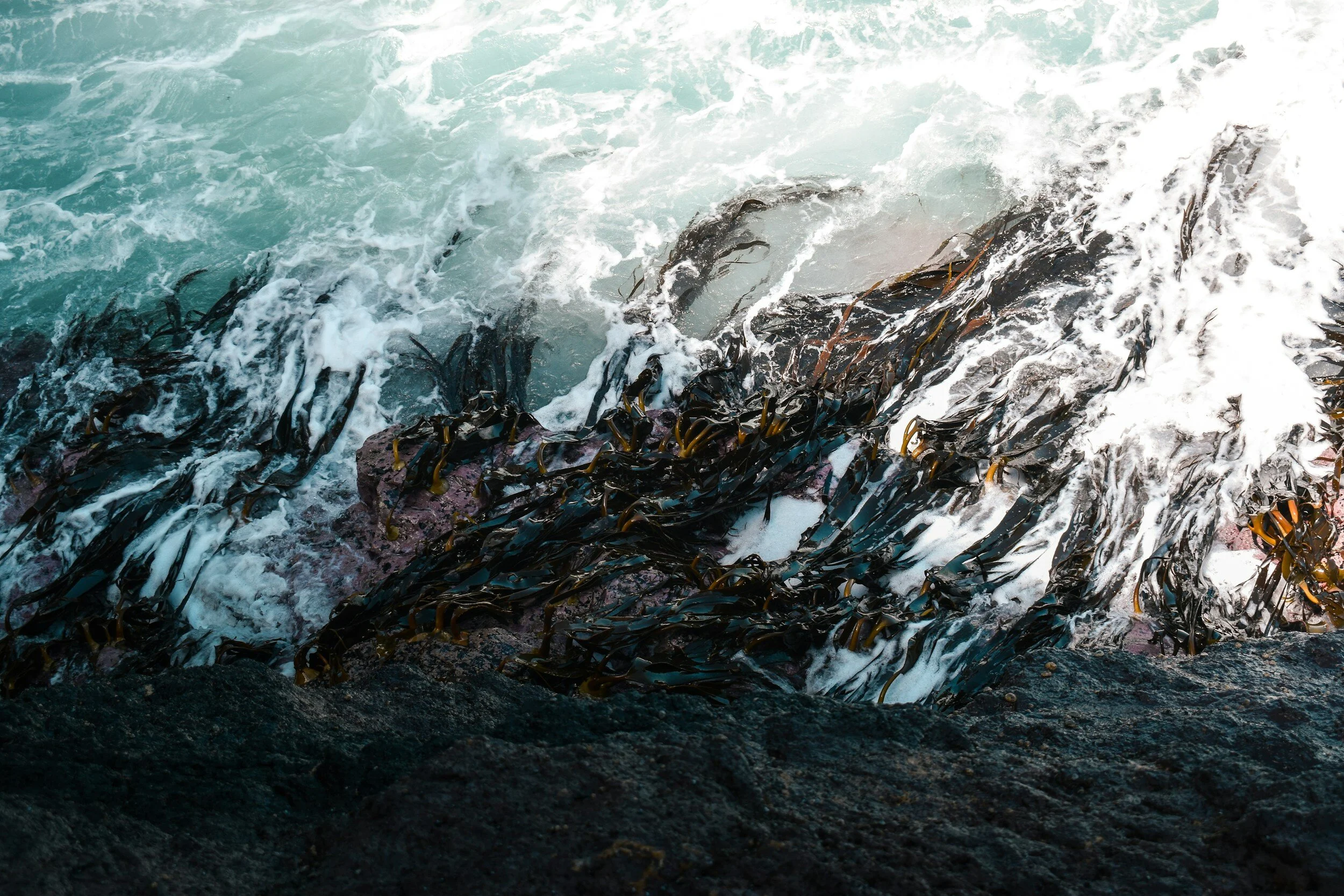 Article & Podcast - How AGWA is Tracking and Shaping Water’s Crucial Role in Climate Adaptation