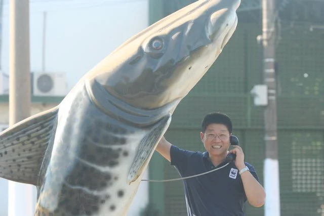 Why wetlands must be central to building hydrological resilience – beyond protection