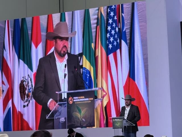 Crisis Adaptation, Opportunity Adaptation: Lessons from the Pastures and Fields of Mexico