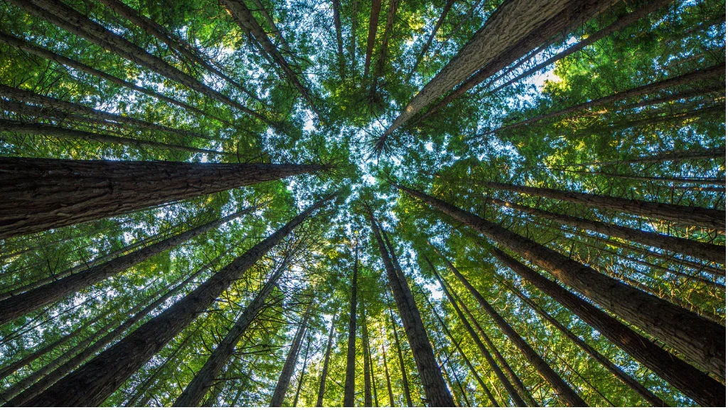 AGWA Needs Your Help for Effective Climate Action Today – and for Tomorrow