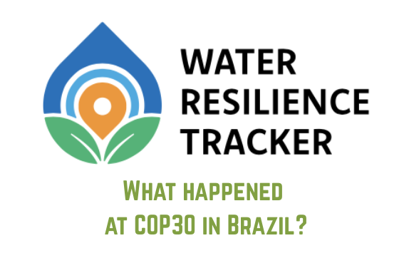 Webinar: What happened at COP30 in Brazil?