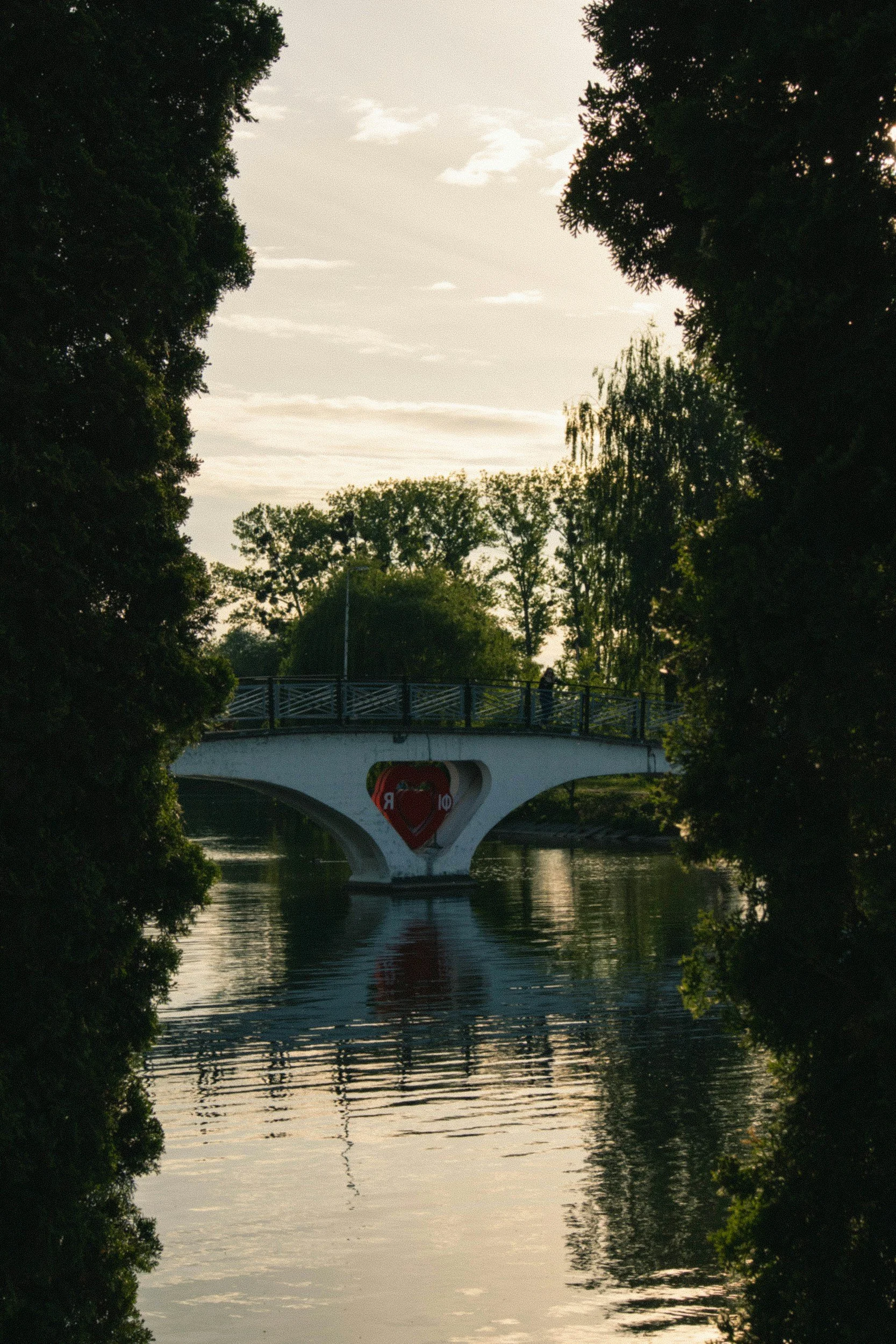 AGWA Updates: January 2026