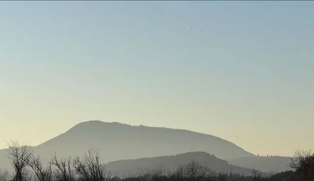 Eyes (and Elbows) Up! Avoiding the "Tragedy of the Horizon" through Resilience