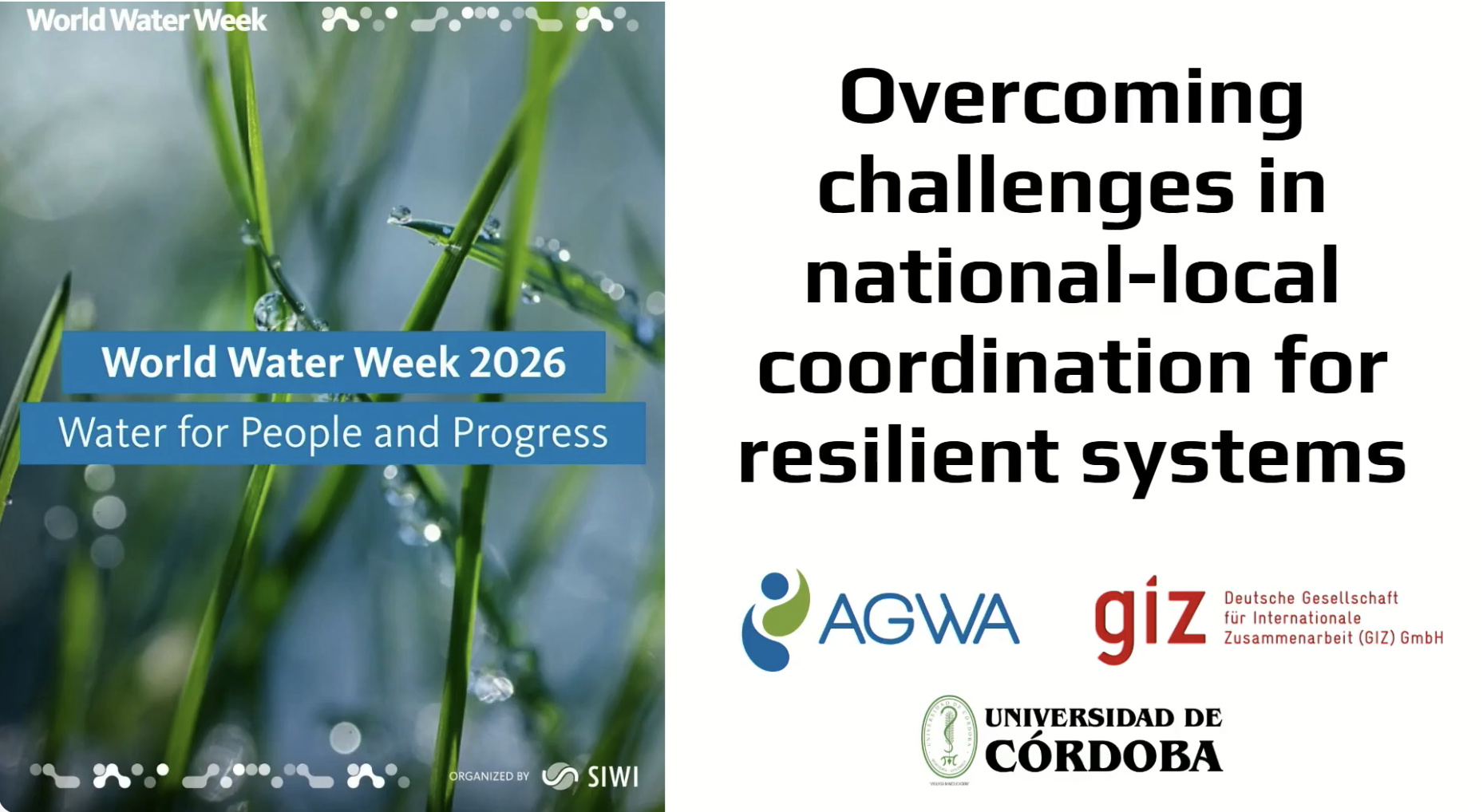 Overcoming challenges in national-local coordination for resilient systems