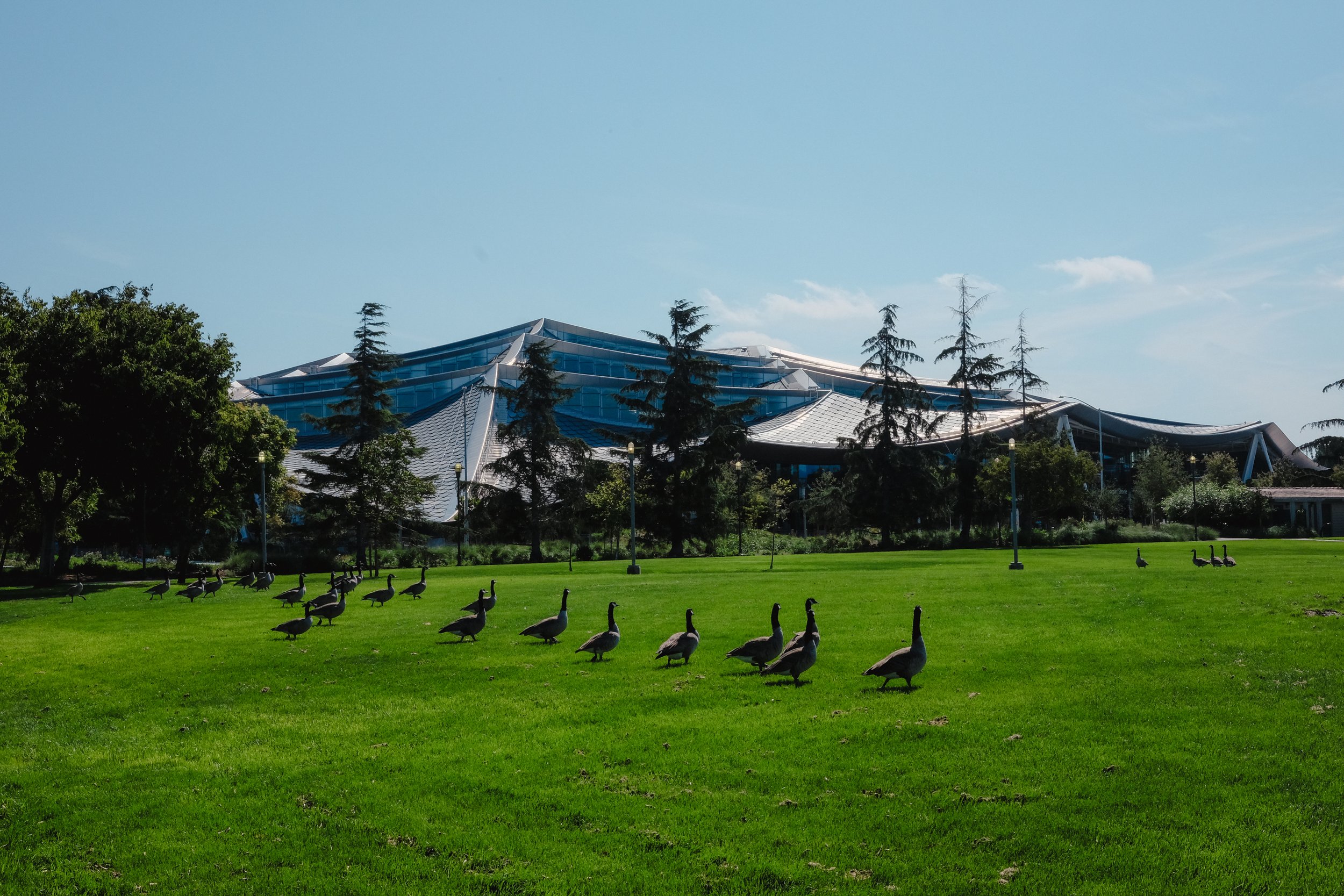 KS-20230917-15.JPG