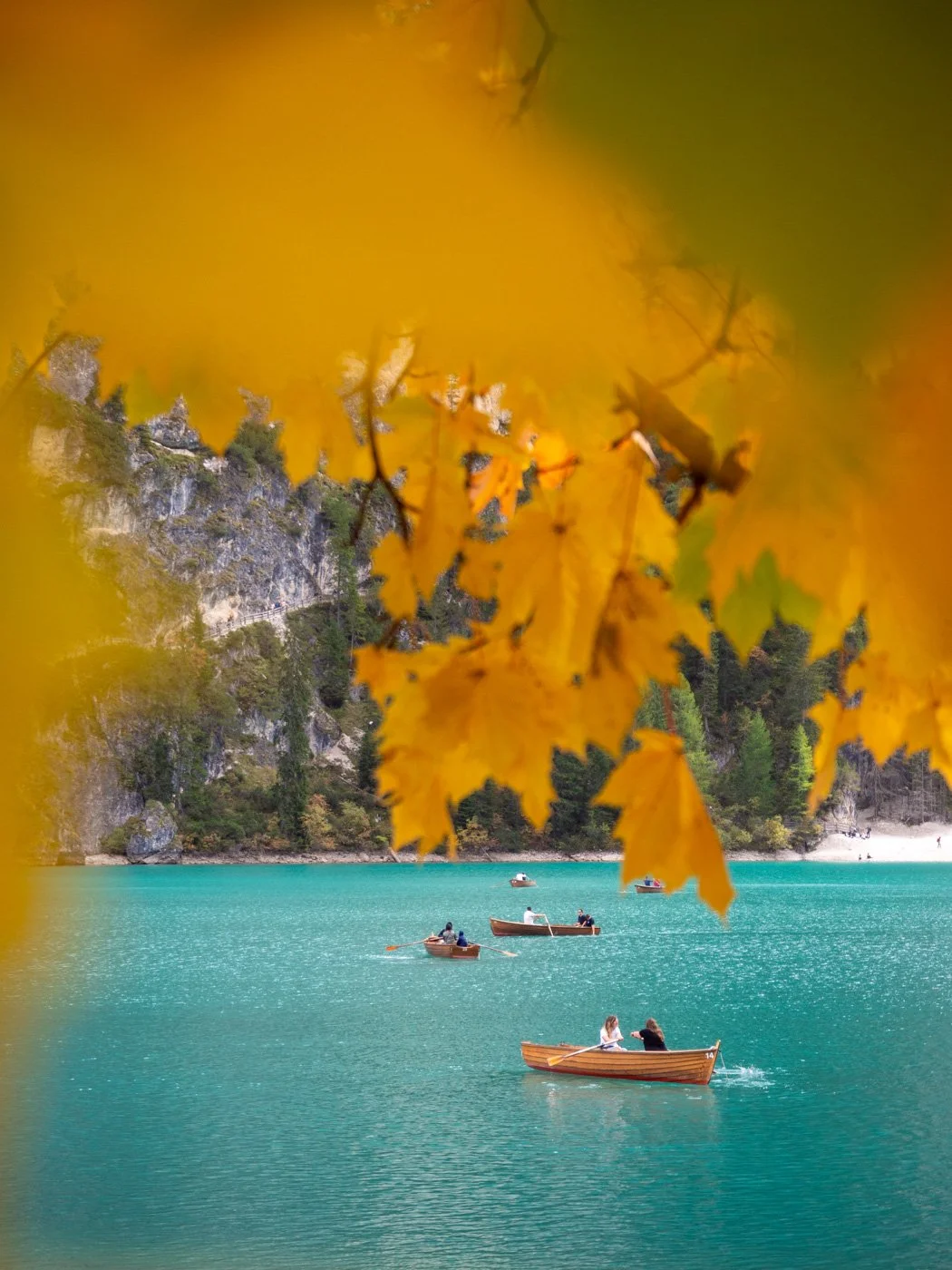   Experiencing autumn a bit differently – from a rowboat  
