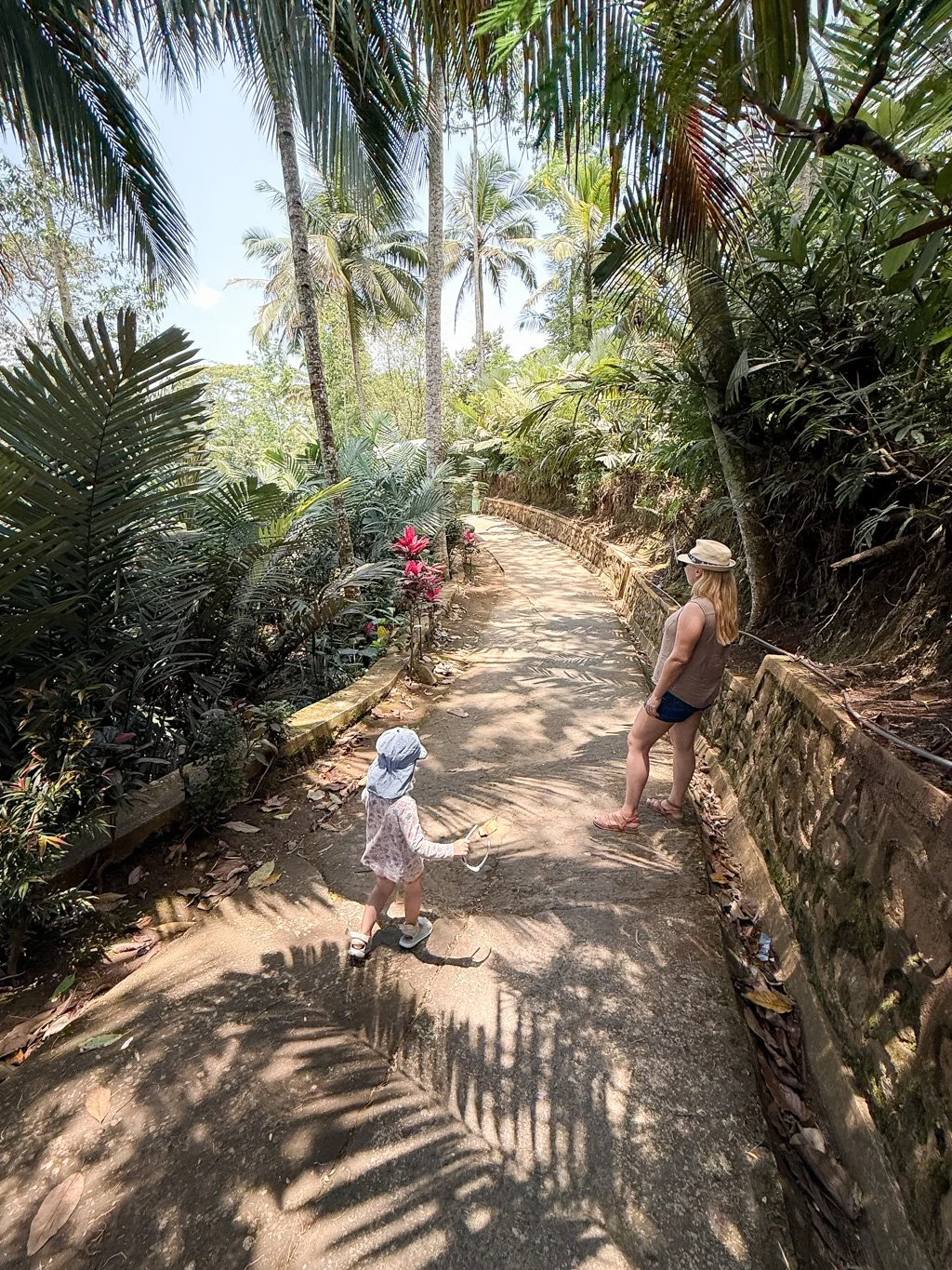   Entrance to the trail towards waterfalls - still with fry feet  😉 