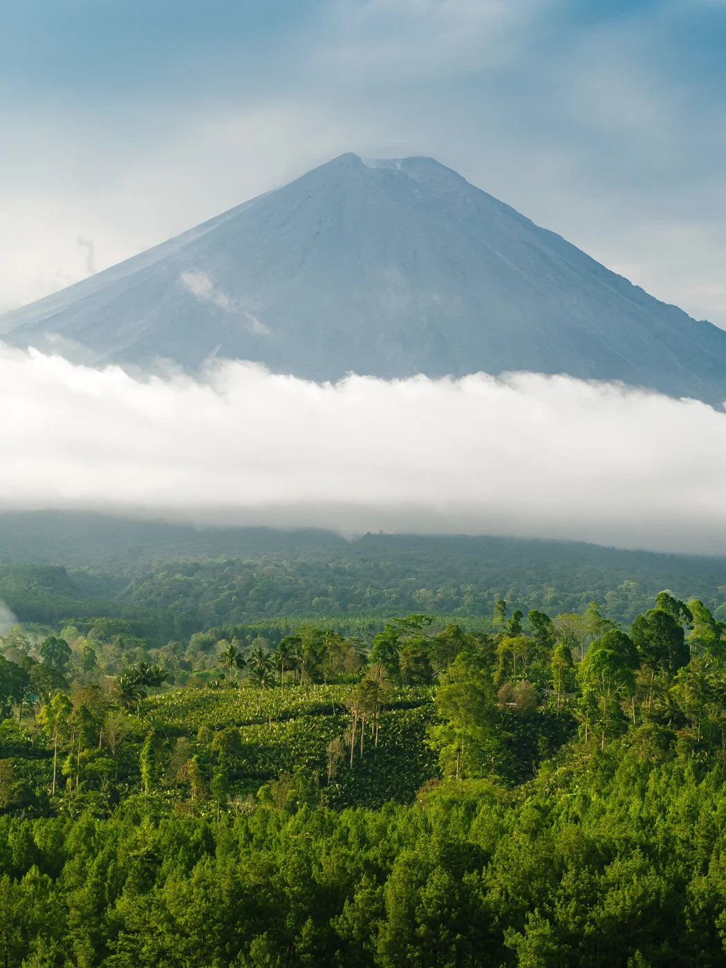   Jungle, clouds and a mighty volcano - taking your breath away  ❤️ 
