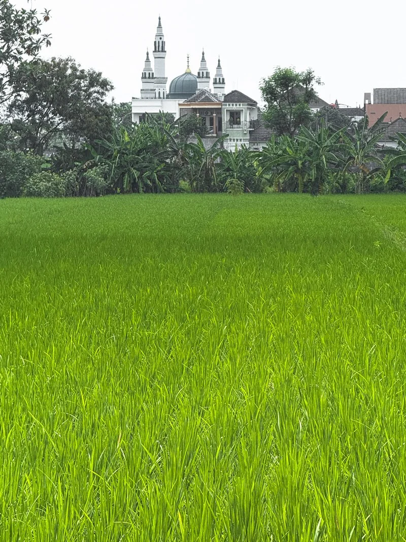   Zamek w Neuschwanstein, ale to meczet pod Yogyakartą  😉 