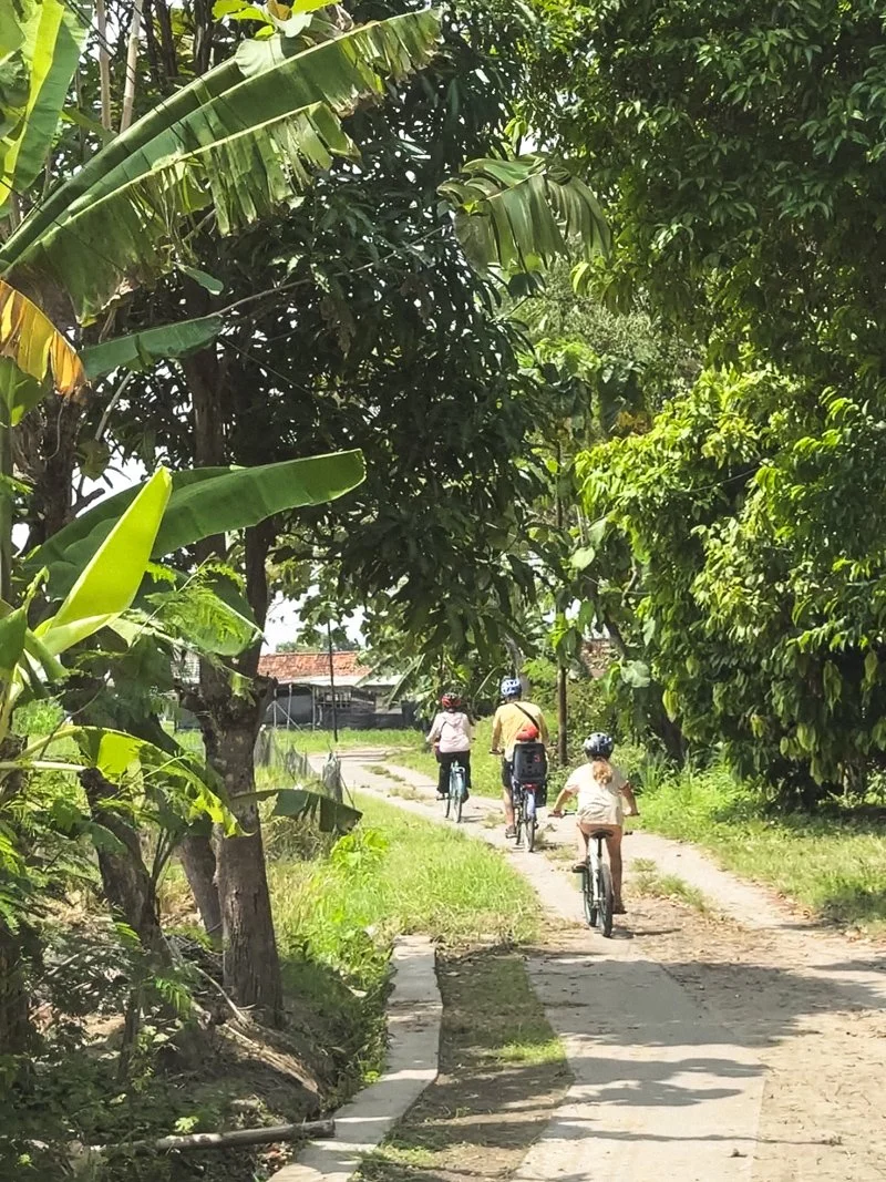   Cycling through villages near Yogyakarta  