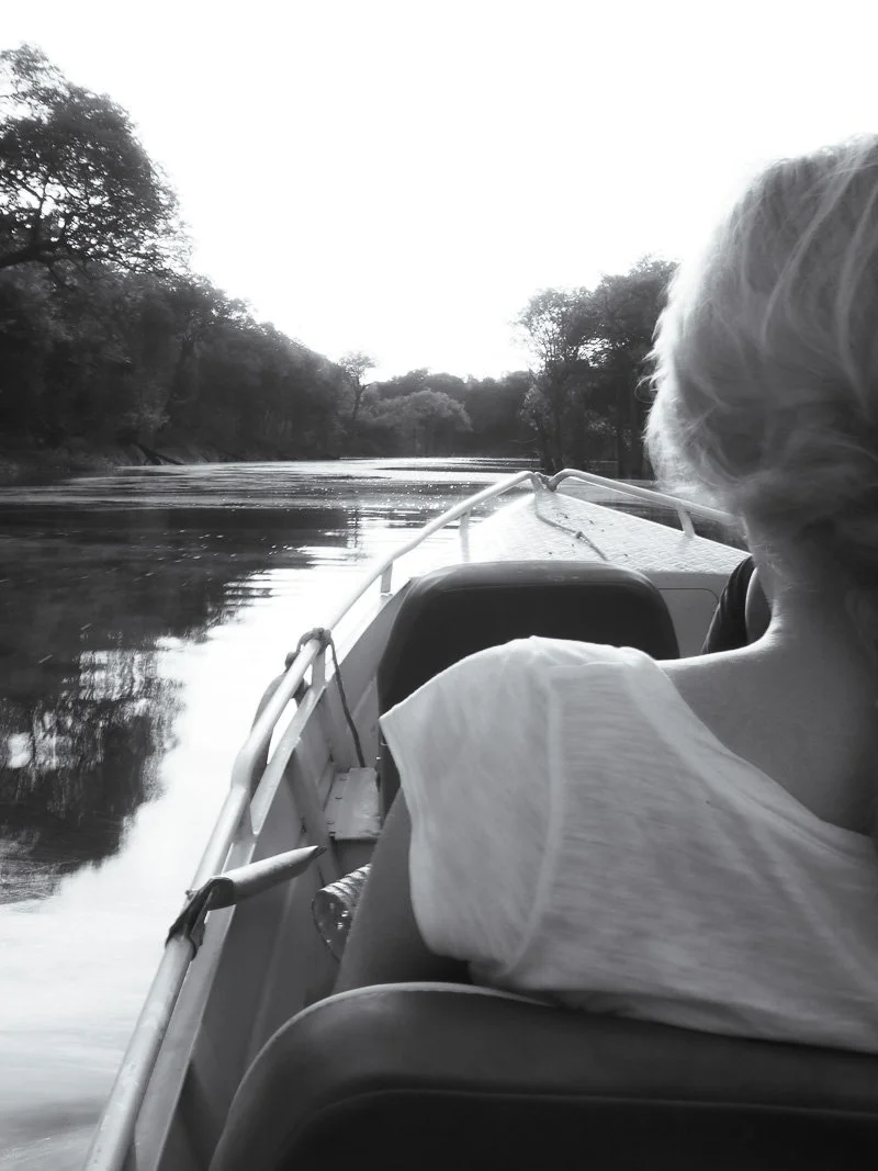   On the way into the jungle  