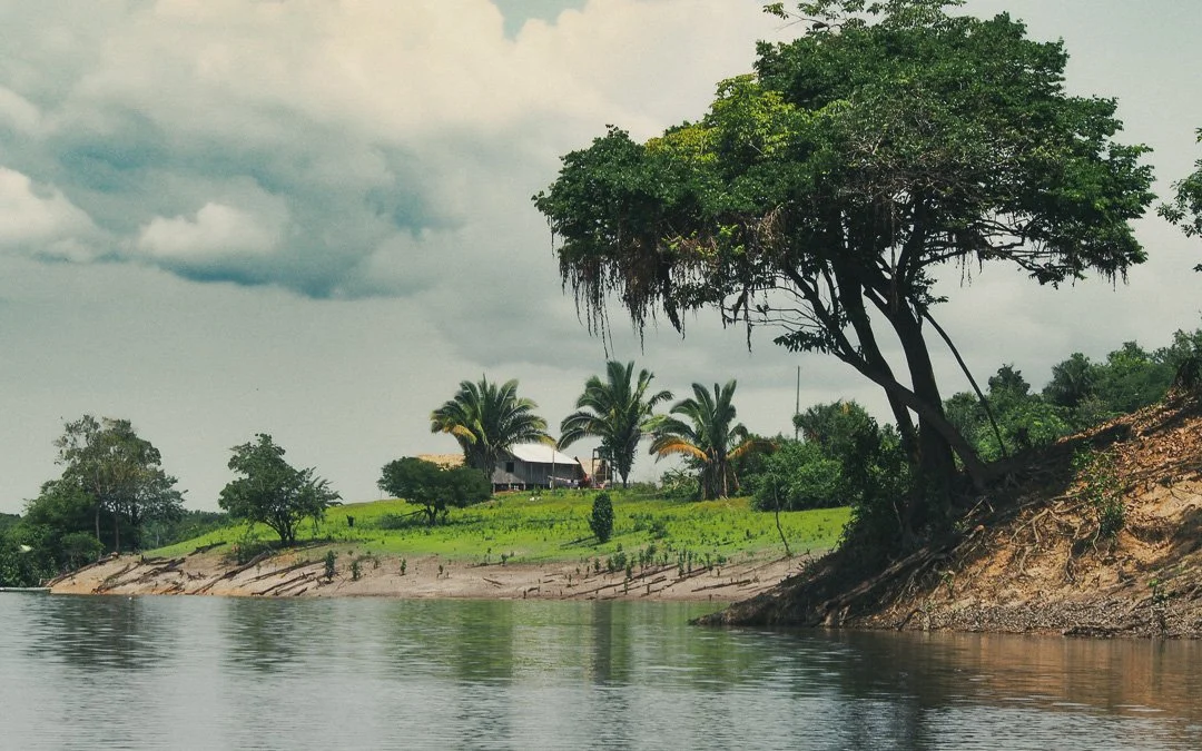   People are reclaiming land from the jungle for farming.  