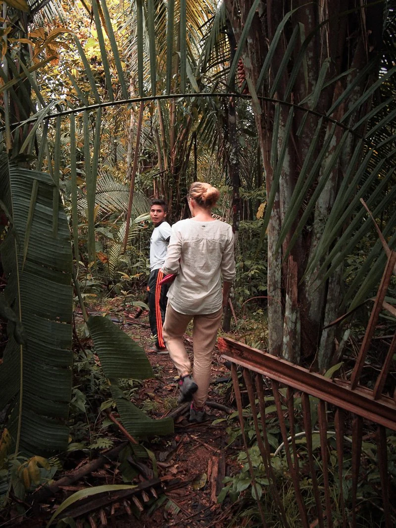   Through the jungle with a local guide  