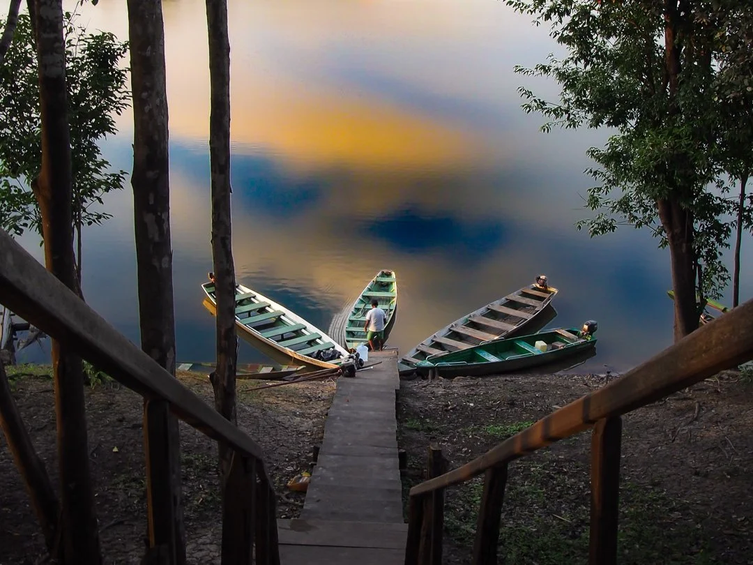 The Amazon Jungle in Manaus