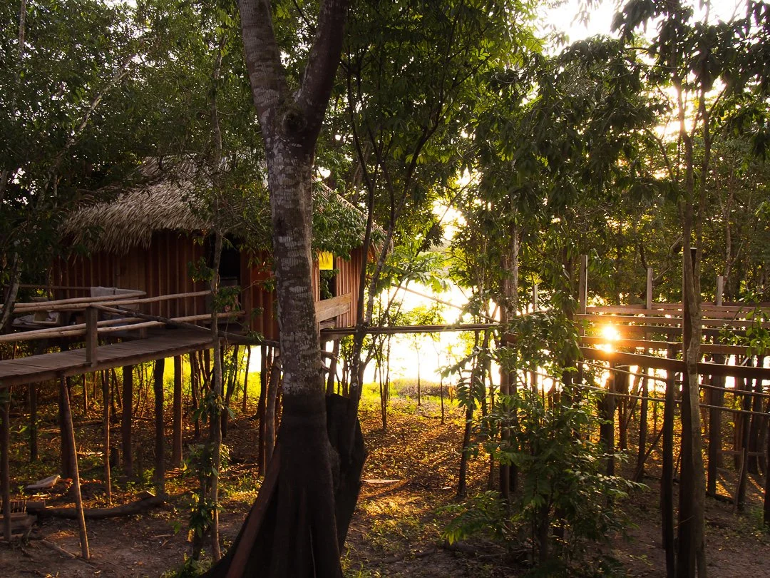   A hut - a house on stilts - in the middle of the Amazon jungle  