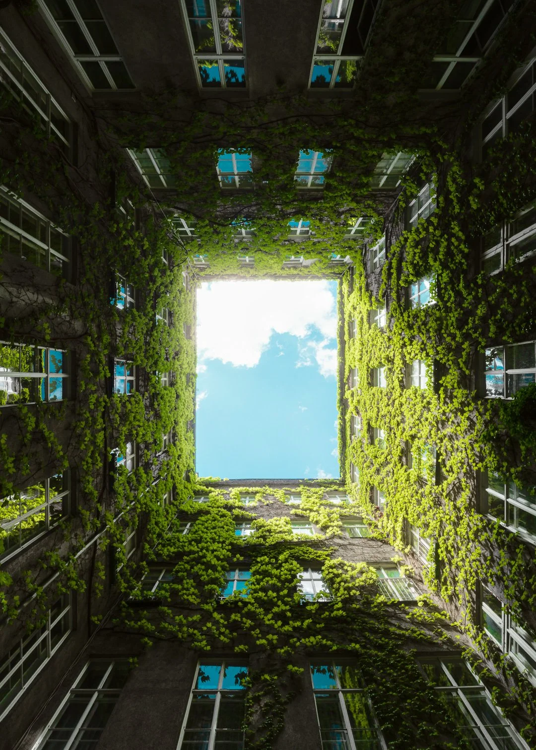   Mr Husband always poking around back alleys—but that’s how he ended up finding THAT amazing space.  